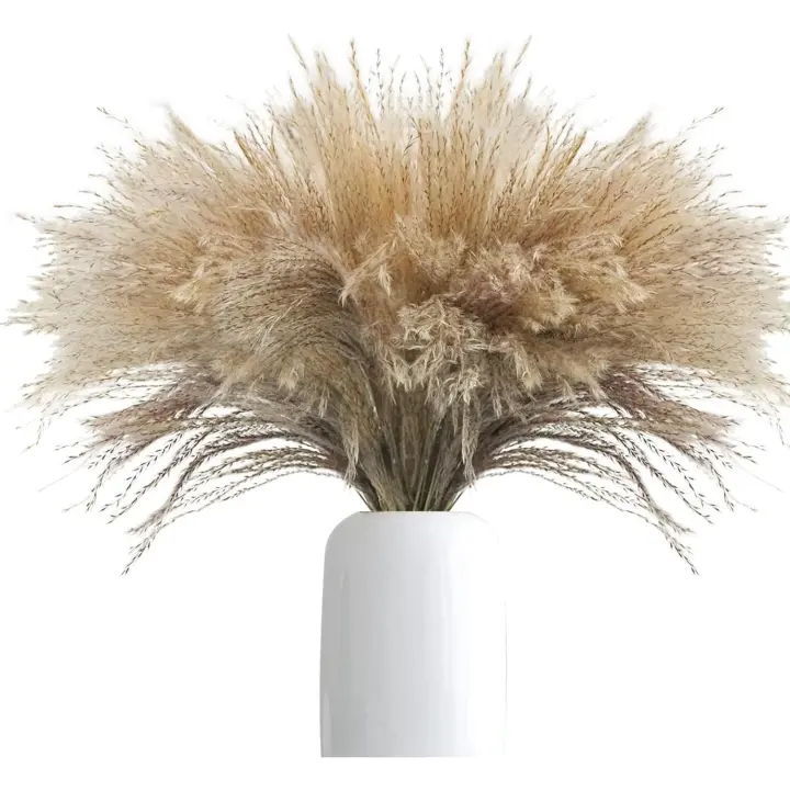 20 piezas de regalo para boda, ramo de flores secas, hierba de Pampas, Phragmites, decoración del hogar - 1