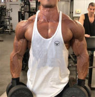 Fitness Clothing Bodybuilding Shirt Men Top for Fitness Sleeveless Sweatshirt Gym Sport T-shirt Thin Suspenders Breathable Vest - details 16