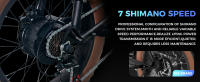 Bicicleta Eléctrica de Neumáticos Anchos 750W 48V 15AH Batería de Litio Extraíble - details 7