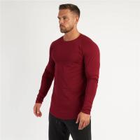 Gym T-Shirt Men Spring Cotton T-Shirt Fitness Men Solid Sports Tshirt O-neck Long Sleeve Tops Men Slim Fit Tee Shirts - details 14