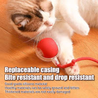 Juguetes de Gato elegante, bola rodante automática, cola falsa, recargable, eléctrico, juguete interactivo para mascotas, entrenamiento de gato, cola de ratón de imitación, 1 ud. - details 1