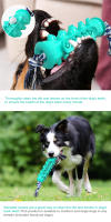 Cepillo de Dientes para Perros Juguete Masticable Duradero Limpieza Dental Suave - details 3