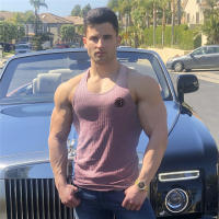 Summer Casual Fashion Knitted Tank Tops Men Breathable Quick Dry Sleeveless T-Shirt Stripes Slim Fit Vest Gym Fitness Clothing - details 16