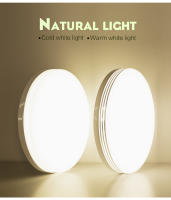 Lámpara de techo Led redonda con marco plateado, iluminación de brillo blanco Natural, 24W, 36W, 48W, luces de techo para decoración de dormitorio y sala de estar - details 2