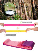 Bands de Resistencia de TPE Ejercicio Stackable para Fitness, Terapia Física, Yoga - details 2