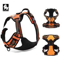 Truelove-arnés de nailon reflectante para perros grandes, Correa Vehicular de seguridad ajustable, acolchada para todo tipo de clima, TLH5651 - details 5