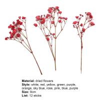 12 Uds ramos de Gypsophila moda colorida flor de Gypsophila seca ramos de flores secas realistas - details 4