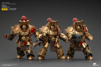 JOYTOY 1/18 figura de acción The Horus Heresy Legio Custodes Aquilon Terminator Squad (3 unids/set) - details 8