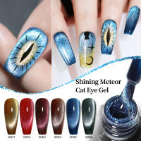 Parkson-esmalte de uñas de Gel magnético, 6 colores, 10ML - details 3