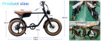 Bicicleta Eléctrica de Neumáticos Anchos 750W 48V 15AH Batería de Litio Extraíble - details 11
