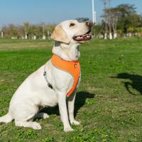 Truelove-arnés de malla transpirable para perro, correa de nailon, chaleco suave para caminar, Collar para perros pequeños y medianos, TLH1911 - details 11