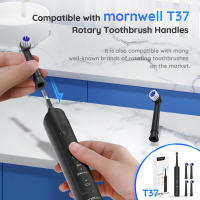 4 Uds A2729 cabezal de cepillo reemplazable para cepillo de dientes Mornwell T37 - details 4