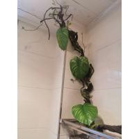Planta Artificial de 1,75 M, hojas postizas de ratán artesanales, se doblan y cuelgan libremente en la pared para decorar el ratán simulado - details 14