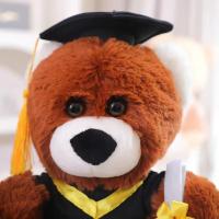 Doctor Hat Capybara De Peluche Muñeco De Peluche Suave Y Cálido Regalo De Graduación De Dibujos Animados Para Adultos Y Niños - details 21