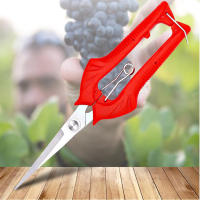 Tijeras De Podar Para Jardín Y Plantas Micro-Tip Afiladas Para Cortar Hojas Herramienta De Jardinería Metálica Plegable - details 5