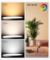 Lámpara De Techo LED Moderna Con Patrón De Madera Dorado Tres Colores Para Iluminación Doméstica Cocina Dormitorio Baño - details 7
