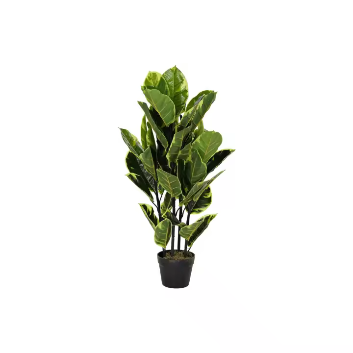 Planta Pe 40X40X90 Hevea Verde El mejor complemento para tu hogar  -Fijalo- - 1