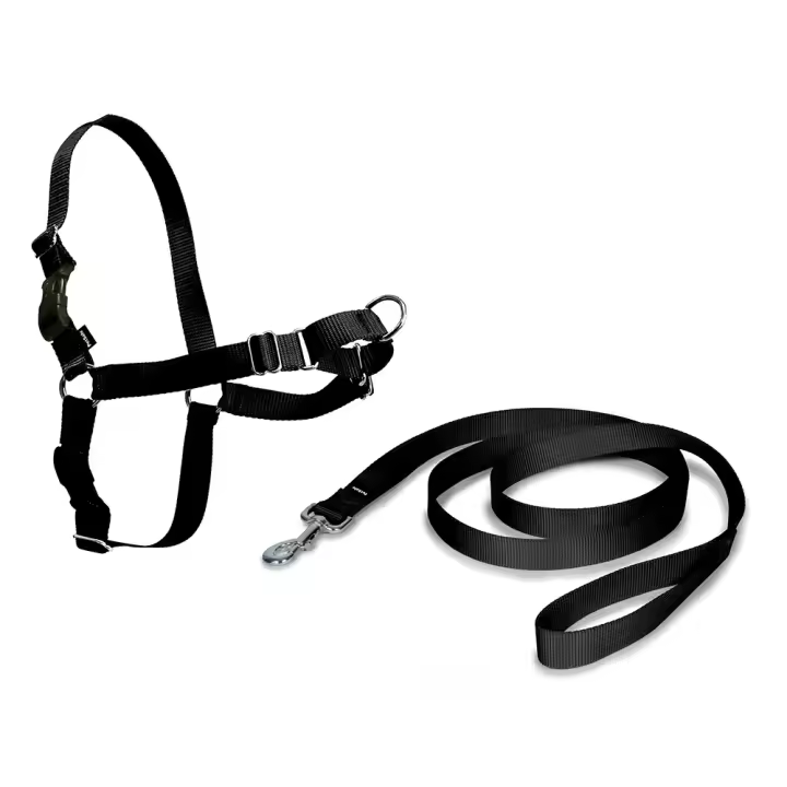 Nayeco Arnes Easy Walk Mediano Negro Con Correas de Nylon y Pectoral - 1