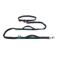 Correa Retráctil Reflectante Para Perros De Mano Libre Para Correr Al Aire Libre Correa Dual De Cadena Para Mascotas Para Todas Las Estaciones - details 11