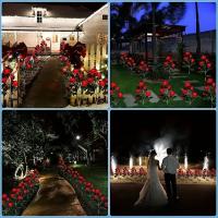 Lámpara Solar Exterior Impermeable Con 3 Cabezas De Flores Iluminadas Luz De Rosas Para Decoración De Jardín Y Patio De La Casa - details 10