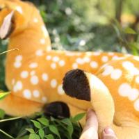 Juguete De Peluche Gigante Animal Real Vida Cervo Simulación Modelo De Sika Para Niños Regalo De Cumpleaños Propiedad Educativa - details 16