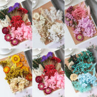 Flores Naturales Secas Para Resina Epoxy DIY Moldes De Cera Aromaterapia Marco De Fotos Decoración De Hogar Fiesta Interior - details 0