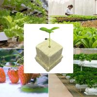 Cubes De Cultivo Hidroponico De 25x25x25mm 50pcs Medio De Cultivo Stonewool Substrato Sin Tierra Bloque De Semillero De Lana De Piedra - details 10