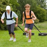 ALLINLIFE Correas (para trineos) - details 3