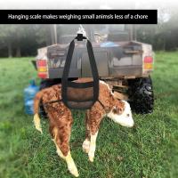 Sujetador De Calf Para Peso Animal Con Correa Ajustable Para Cerdos Y Ganado Oveja Cabra Medidor De Peso En Granjas - details 5