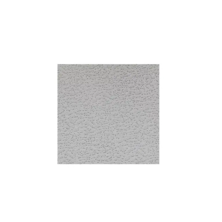 THU Ceiling Soluctions THU Placa Techo Acústico Basic 1 60x60x1.2 Cm 12 Uds - 1
