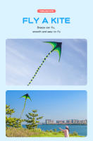 YongJian Kite Delta Grande Para Niños Y Adultos Fácil De Volar Con Cola De 6m Juguete De Exterior De Poliéster Triangular - details 10