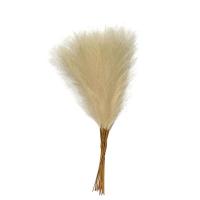 Pack De 10 Pampas Artificiales Imitación De Caña De Paja Para Decoración De Hogar Y Eventos - details 7