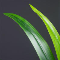 Gran Planta Artificial De Bambú 60cm Con 18 Hojas Hojas Verdes De Orchidáceas Para Decoración De Jardín Y Hogar Material Plástico - details 9
