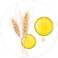 2 unidades Beauty Focus Collagen+ Suplemento de Belleza para Piel Radiante y Rejuvenecida - details 1