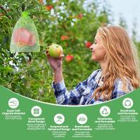 Bolsas De Red De Protección Para Frutas 100pcs Control De Plagas Y Pájaros Para Verduras Y Uvas Herramienta De Jardinería Material De Nylon Blanco Y Verde - details 6