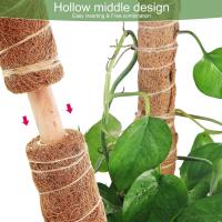 Soporte de apoyo para plantas trepadoras, 2 piezas de postes de coco Totem Plant Support Pole, palillo de musgo de Coco para plantas trepadoras Vines Lianas, - details 2
