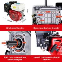 powertec pro Motor gasolina de 4,1 Kw (6,5 CV) - details 1
