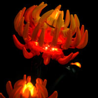 Luz LED Lazishi 10368 Para Bloques De Construcción Chrysanthemum Accesorios De Iluminación Solo Iluminación Sin Batería Compatible Con Lego Unisex - details 5