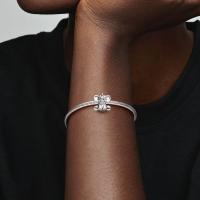 Charm de Ellie La Elefanta - Charm de Pandora Elefante con Significado de Suerte - details 1