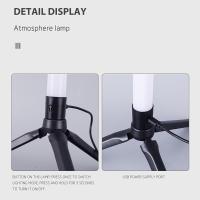 Lámpara De Piso LED Para Decoración De Habitaciones RGB+WW+CW Suministro De Energía USB Iluminación Long Ground Para Casas Nórdicas - details 11