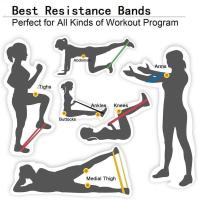 Kit De Barril De Pilates Con Bandas De Resistencia Multifuncional Para Gimnasio Doméstico Portátil Ejercicios De Complejidad Baja Para El Cuerpo Completo - details 20