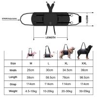 Silla Portátil Para Perro Soporte De Piernas Traseras Y Cadera Para Ancianos Y Perros Llorosos Ayuda En La Rehabilitación Y Levantamiento - details 0