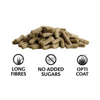 Versele-Laga Complete Chinchilla & Degu 500gr, Pienso de Alta Calidad, Rico en Fibras para Chinchillas y Degus. - details 1