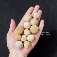 10pcs Bolsa De Agate Marruecos Blanco Con Agujero Cristal Primitivo Mineral Decoración De Escritorio Para Oficina Y Hogar - details 1