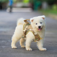 Harnés Táctico Ajustable Para Perros Y Gatos Pequeños Vests Para Gatos Y Perros De Servicio Militar Entrenamiento Y Caminata - details 1