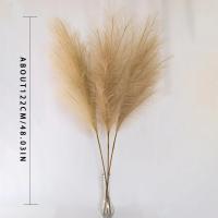 Pampas Artificial De 90/120 Cm Flores Decorativas Para Hogar Fiesta De Boda Arreglo Floral Decoración De Mesa Reed Grass Fluffy - details 2
