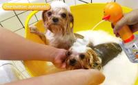 Máquina De Espuma Para Baño De Mascotas Amarilla Con Pato Automática Cargable Por USB Accesorios Para Mascotas Material Plástico - details 1
