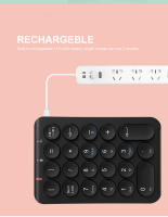 Teclado Numérico Inalámbrico BOW De 22 Teclas Recargable Bluetooth Con Capas De Teclas Redondas Para Portátil iPad Estilo Mini Ergonómico Sin Retroiluminación - details 7