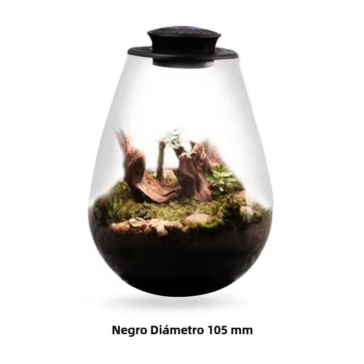Terrario De Vidrio Para Plantas Con Luz De Crecimiento Micro Paisaje De Mojarra Y Suculentas Vaso De Decoración Para El Hogar - 1