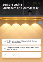 Luz Nocturna LED Con Sensor De Movimiento Wireless Ultra Delgada Para Cocina Armario De Dormitorio Iluminación Interior USB Para Refrigerador De Vino - details 2